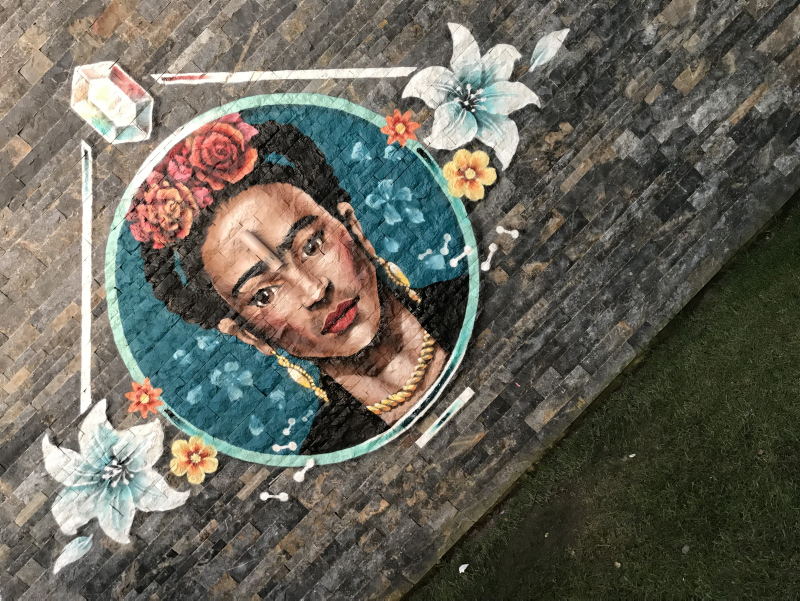 Türkiye'nin 81 iline 'tavşan' çizdi