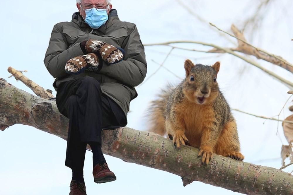 Bernie Sanders eldivenleriyle yemin törenin yıldızı oldu