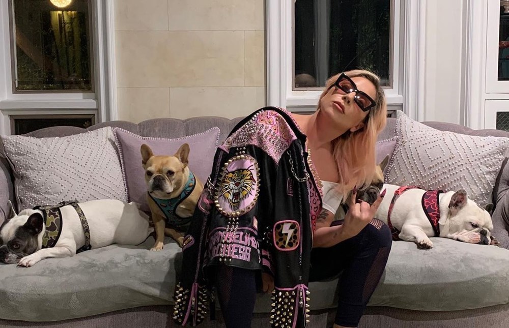 Silahlı saldırıyla Lady Gaga'nın köpeklerini çaldılar