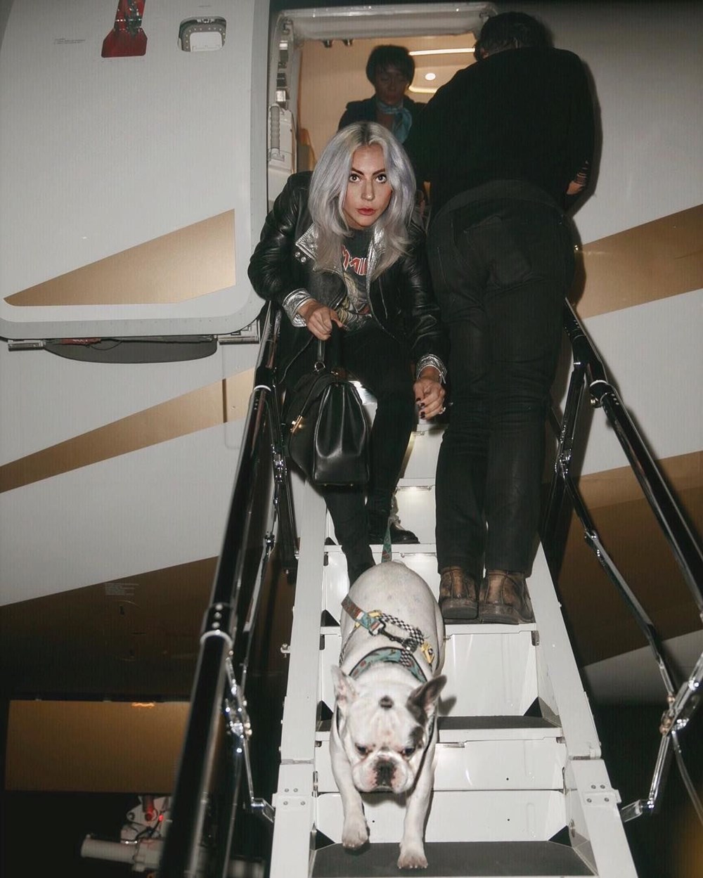 Silahlı saldırıyla Lady Gaga'nın köpeklerini çaldılar