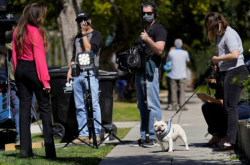 Silahlı saldırıyla Lady Gaga'nın köpeklerini çaldılar