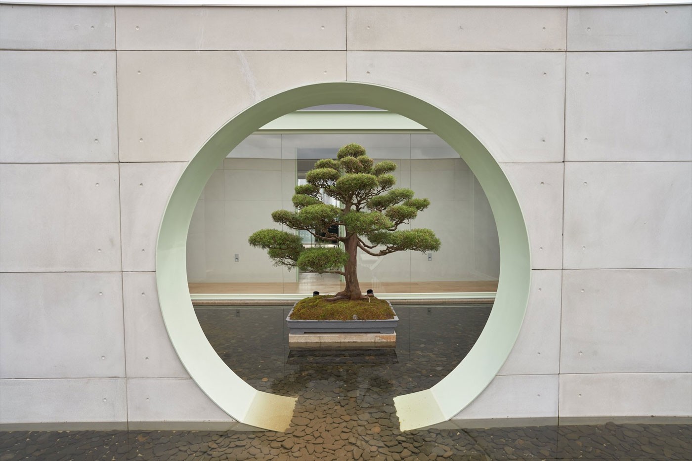 J Balvin'in Minimalist Villası