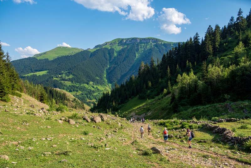 Babalar Günü’nde doğaya dönebileceğiniz en iyi yürüyüş parkurları