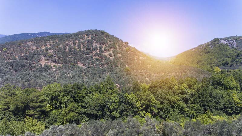 Babalar Günü’nde doğaya dönebileceğiniz en iyi yürüyüş parkurları