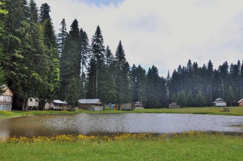 Babalar Günü’nde doğaya dönebileceğiniz en iyi yürüyüş parkurları