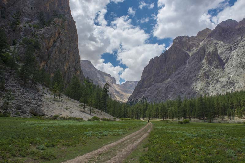Babalar Günü’nde doğaya dönebileceğiniz en iyi yürüyüş parkurları