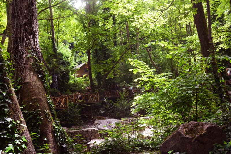 Babalar Günü’nde doğaya dönebileceğiniz en iyi yürüyüş parkurları