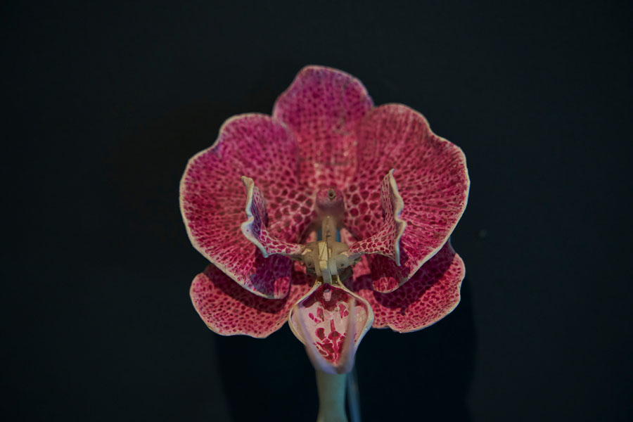 Bozkurt Atabek ile sanat üzerine