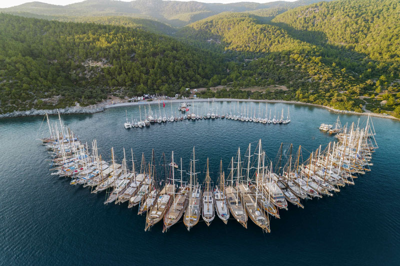 Denizcilik ve sanat The Bodrum Cup'ta bir arada!
