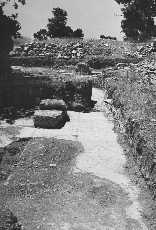 Amerikalı arkeolog Blegen'in 90 yıllık arşivi Troya araştırmacılarının hizmetinde