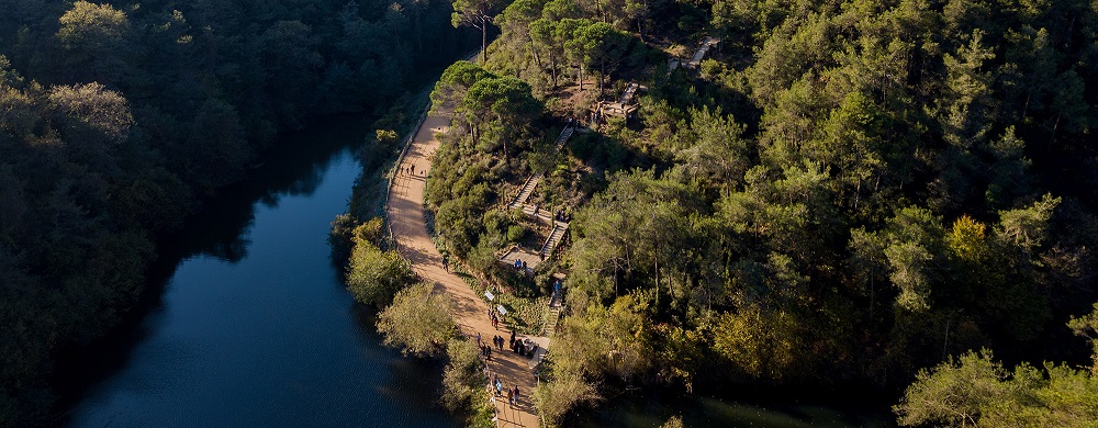 Atatürk Kent Ormanı