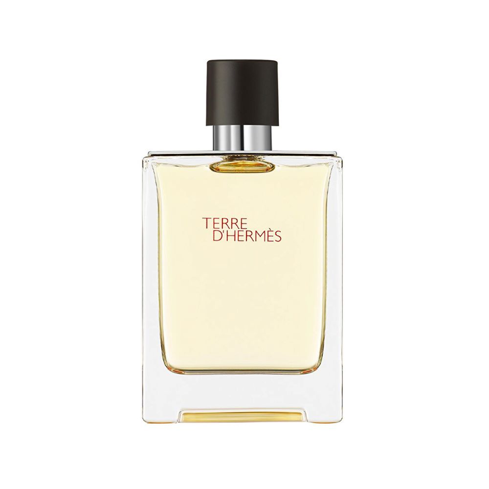4. Hermès Terre d’Hermès