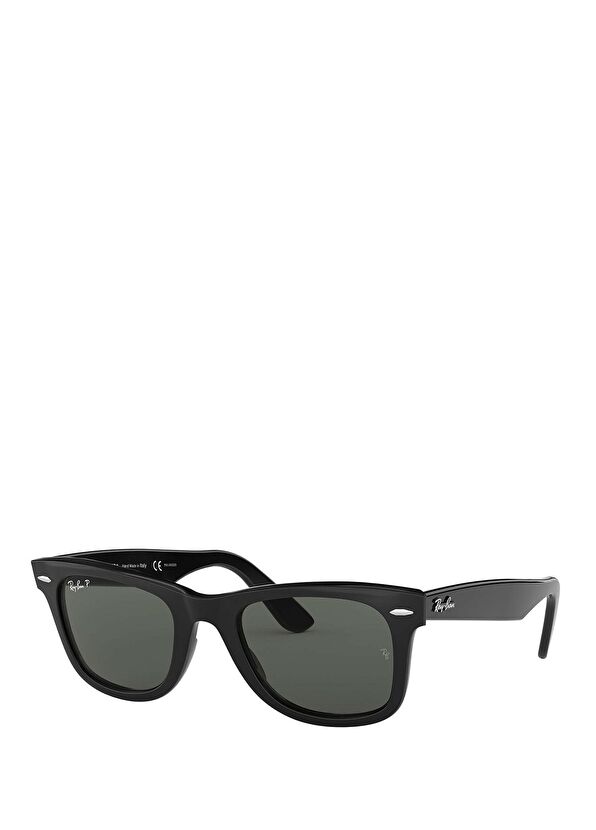 Ray-Ban Wayfarer