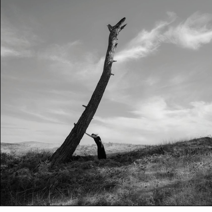 YVES ROCHER VAKFI VE MURATHAN ÖZBEK’TEN “YANIBAŞINDA”: AĞAÇLARLA KURULAN BİR DOSTLUK HİKAYESİ