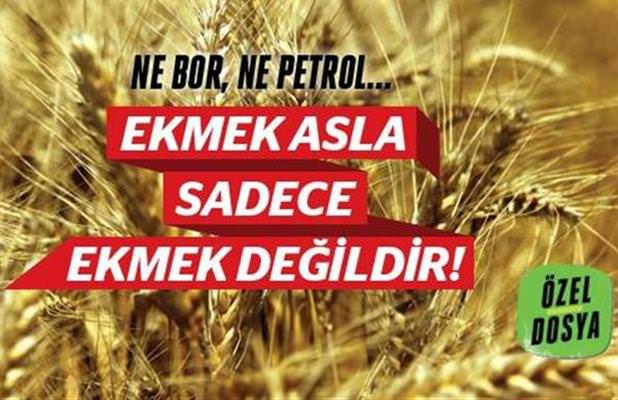 Ekmek Artık Yalnızca Ekmek Değil!