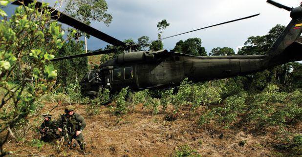 Kanın Yeni Adresi - Kokain Ormanı