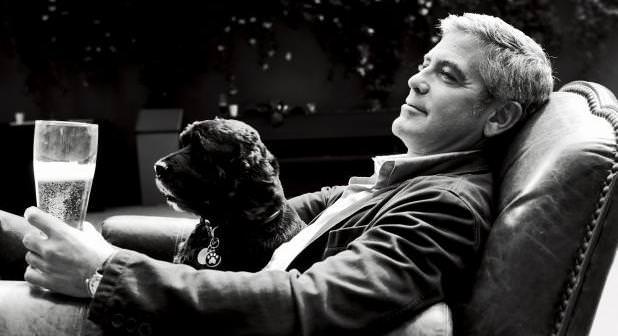 Bu Yıl Ne Öğrendim? - G. Clooney