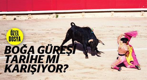 Boğaların Kansız Zaferi