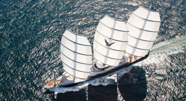 Yelkenlilere Dair Her Şey