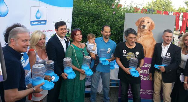 Sokak hayvanları için el ele!