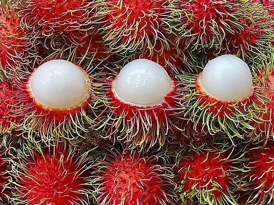 Dünyanın en ilginç 10 meyvesi