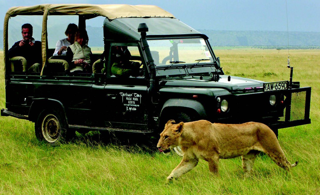 Masai Mara'dan Serengeti'ye büyük göç