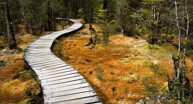 Burası için nedenimiz çok!