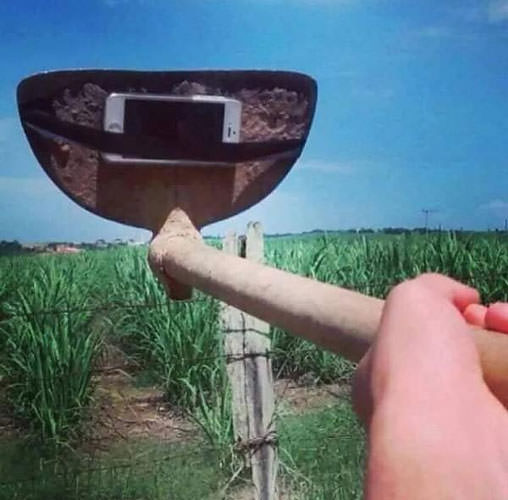 Bu fotoğraflara bir de yakından bakın