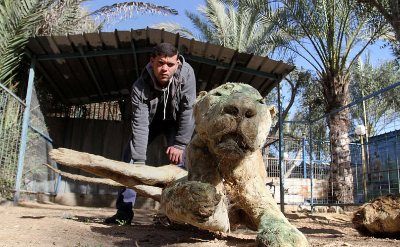 En korkunç hayvanat bahçesi