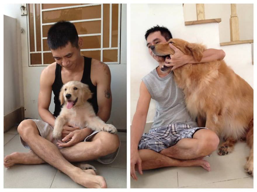 Sevimli hayvanların öncesi ve sonrası