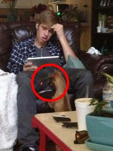 Bu insanlar çıldırmış olmalı