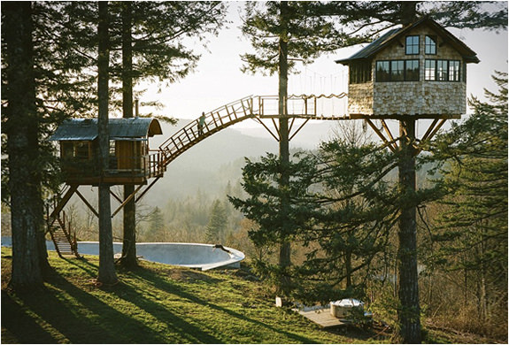 Ağaçların üzerinde büyüleyici yaşam