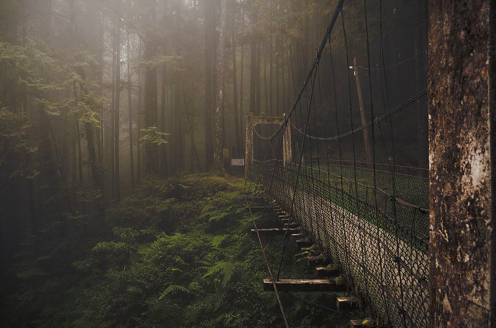 Mimari Başyapıtın Sözlük Karşılığı Niteliğinde 30 Muazzam Köprü