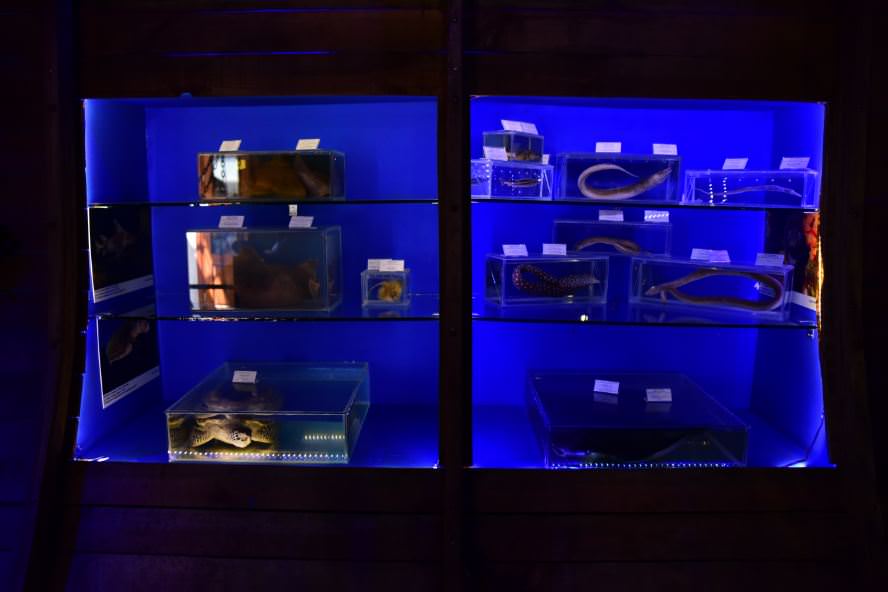 Deniz Müzesinden muhteşem kareler