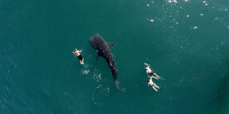 2015'in en iyi Drone fotoğrafları