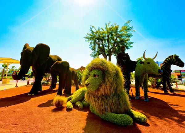 Bitki heykellere yoğun ilgi