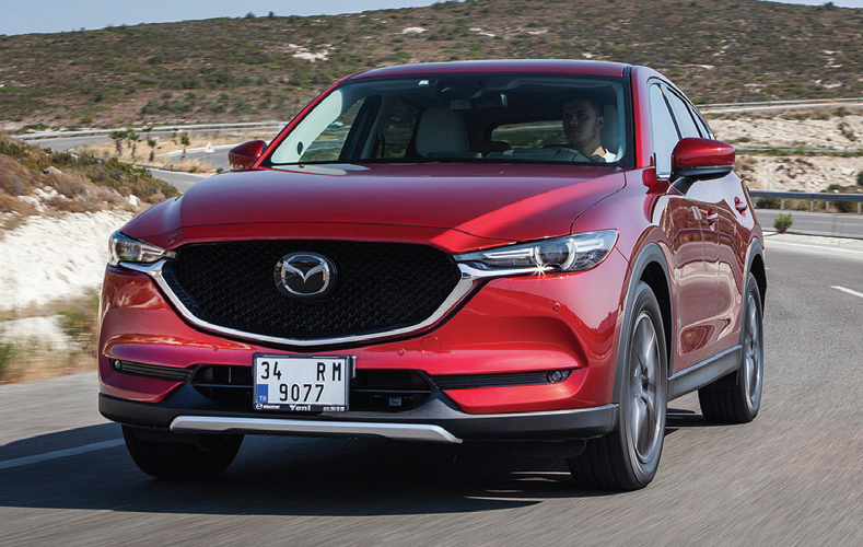 İki Japon, bir bağ ve çokça sanat