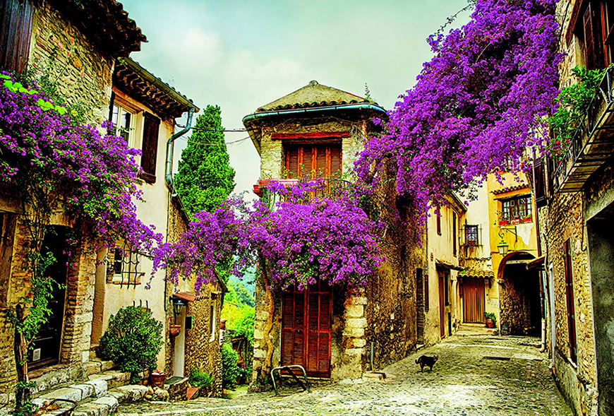 Yeryüzündeki cennet; Provence