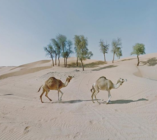 Evden çıkmadan dünyayı fotoğrafladı