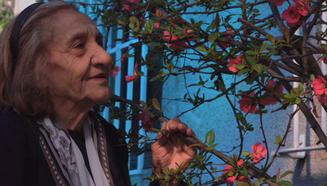 Beykoz'u 'Beykoz'un Çınarları' anlattı