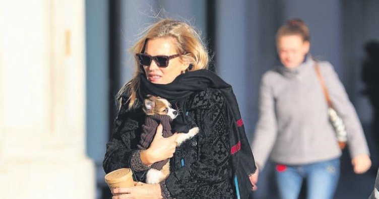 Kate'in minik arkadaşı