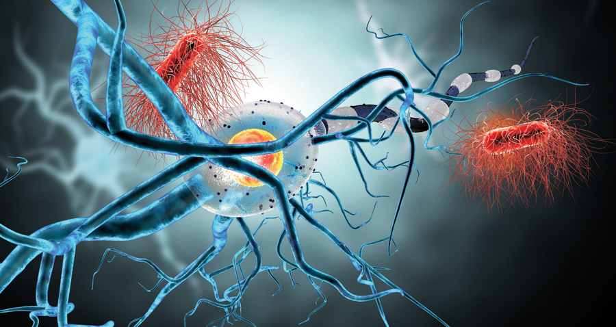 Genetik değişim devri Homo II. Sapiens