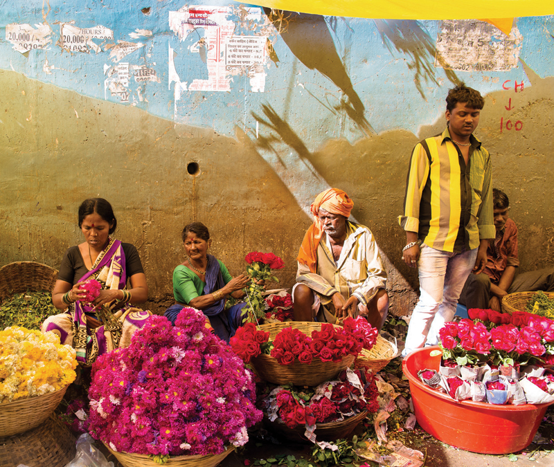 Hayallerinin peşinde