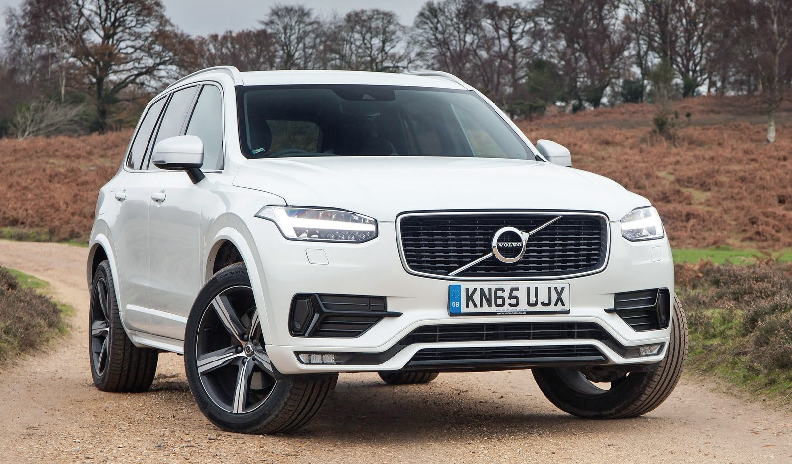 Aile boyu otonom sürüş