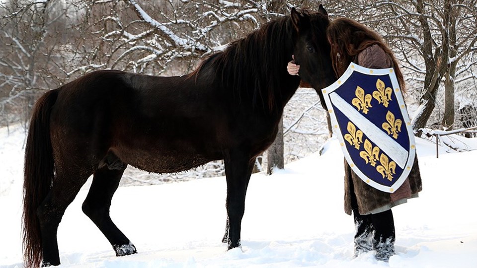 Bosna Krallığı'nın 'son şövalyesi'