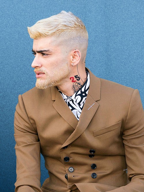 Ne yapıyorsunuz Zayn Bey?