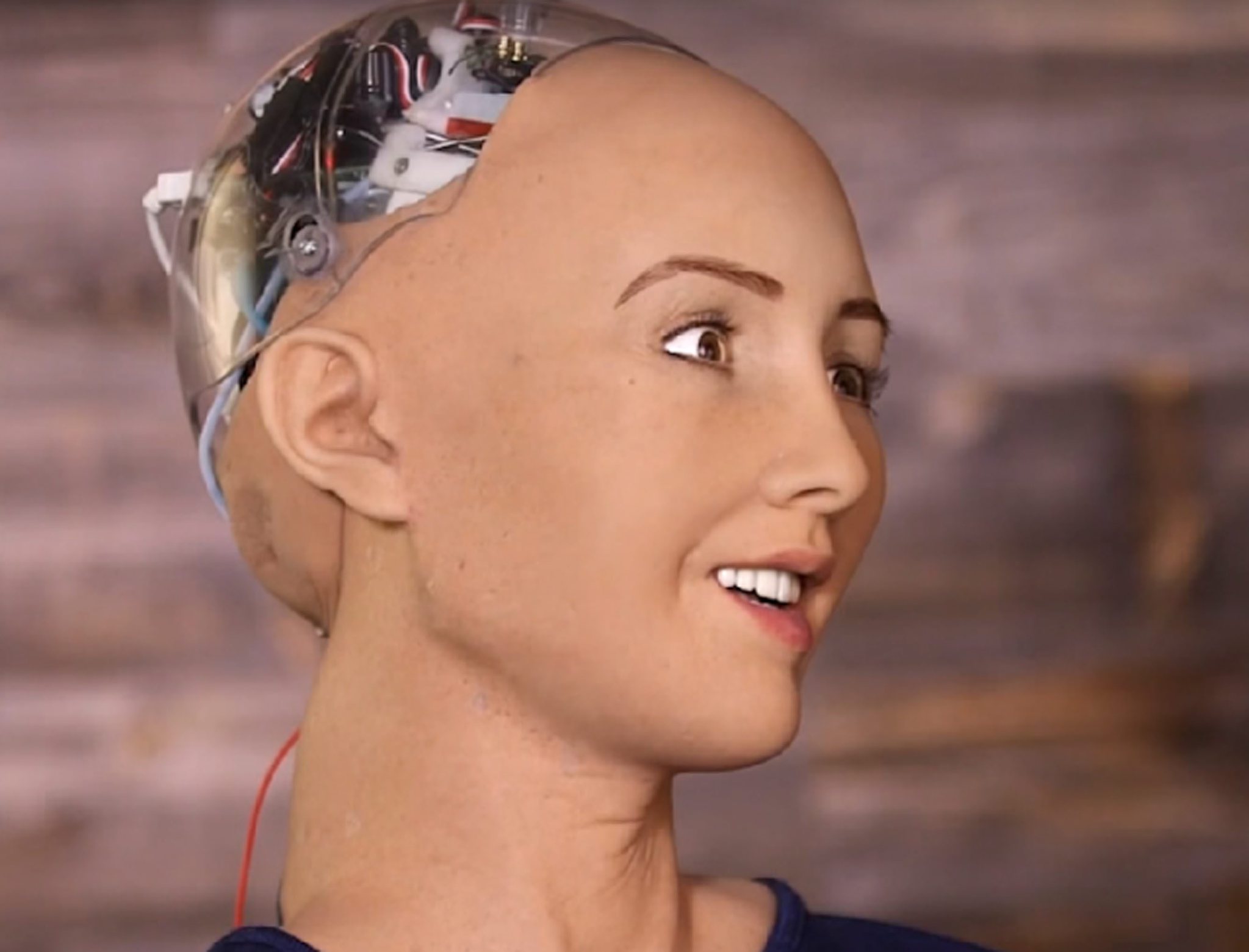 Robot Sophia insanlığı düşünüyor