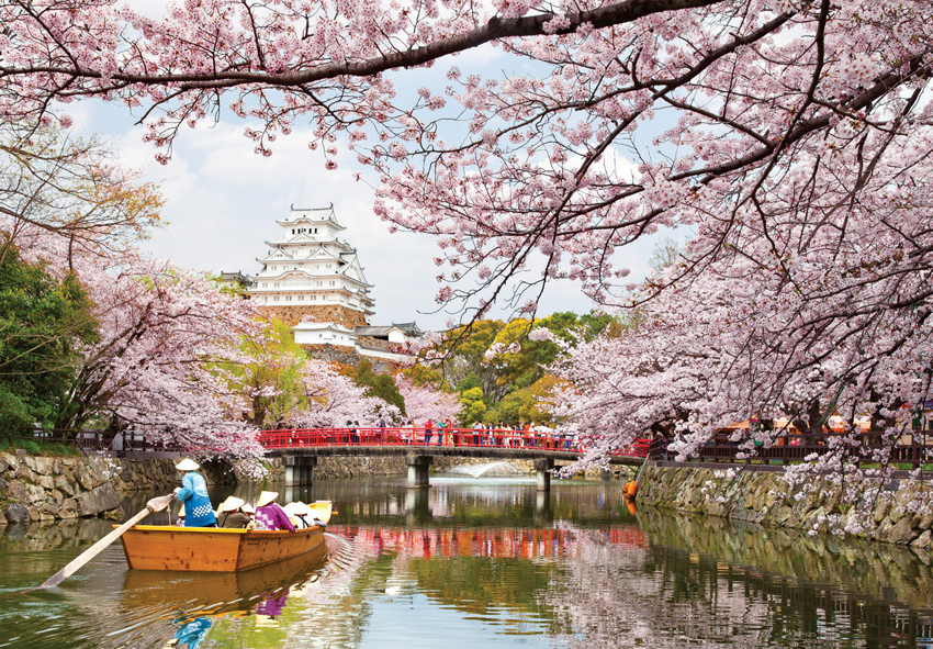 Kyoto kiraz çiçeği sefasında