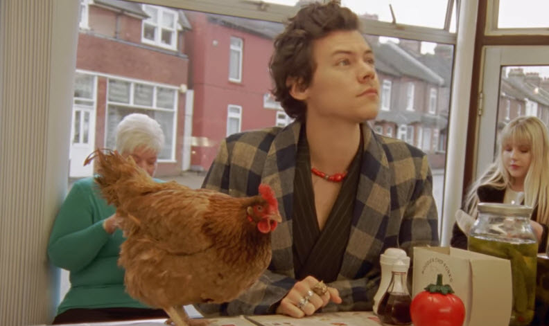 Rol arkadaşı bir tavuk!