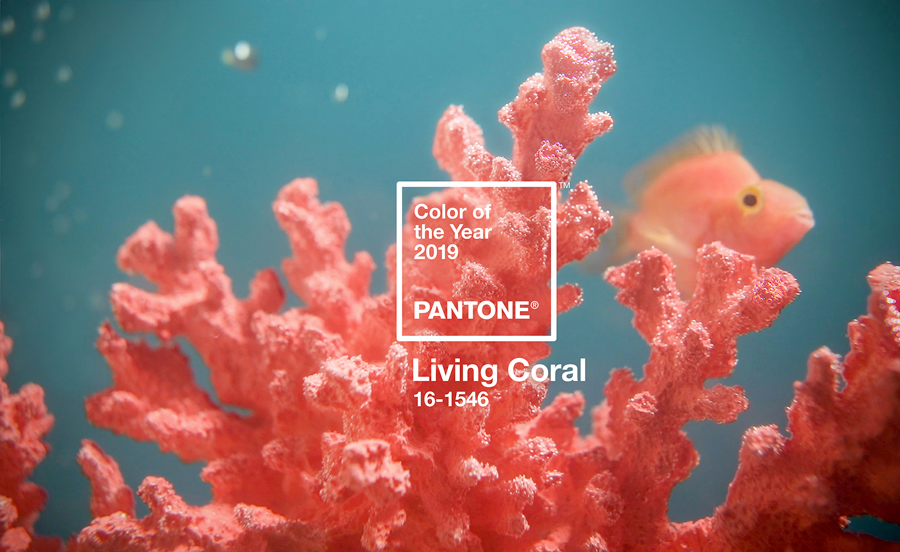 Pantone 2019'un rengini açıkladı: Canlı mercan 'Living Coral'